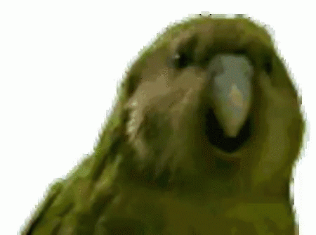 Click image for larger version

Name:	tenor.gif?itemid=5800467.gif
Views:	204
Size:	528.7 KB
ID:	28965
