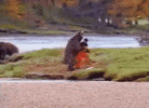 Click image for larger version

Name:	tenor.gif
Views:	234
Size:	1.46 MB
ID:	61036