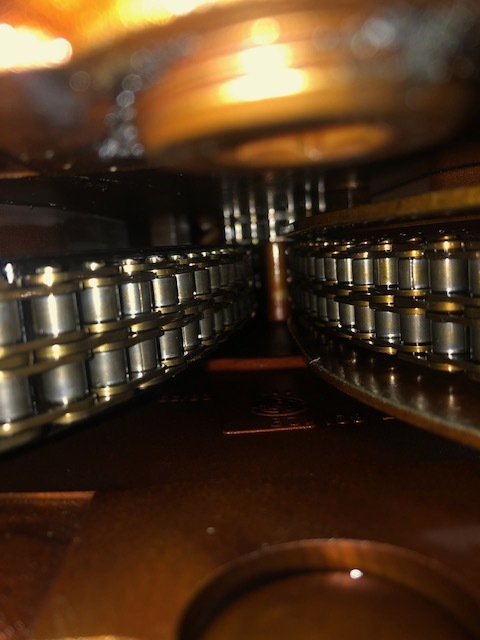 Click image for larger version

Name:	Sprocket Chain innards.JPG
Views:	388
Size:	59.9 KB
ID:	73451