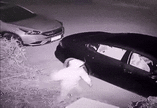 Click image for larger version  Name:	funny-security-cam-fail-payback.gif Views:	0 Size:	858.7 KB ID:	78351