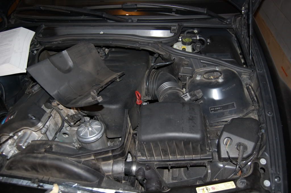 Click image for larger version

Name:	DSC_0133.jpg
Views:	2350
Size:	92.4 KB
ID:	86538