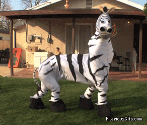 Click image for larger version

Name:	lm4ykk.gif
Views:	1561
Size:	697.3 KB
ID:	164926