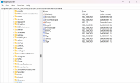 Click image for larger version

Name:	regedit screenshot.png
Views:	242
Size:	505.5 KB
ID:	197554