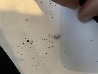 Click image for larger version  Name:	IMG_4809.jpg Views:	0 Size:	57.7 KB ID:	239580