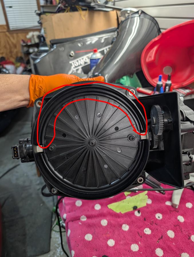 Click image for larger version

Name:	PXL_20251027_005636938~2.jpg
Views:	65
Size:	91.2 KB
ID:	324500