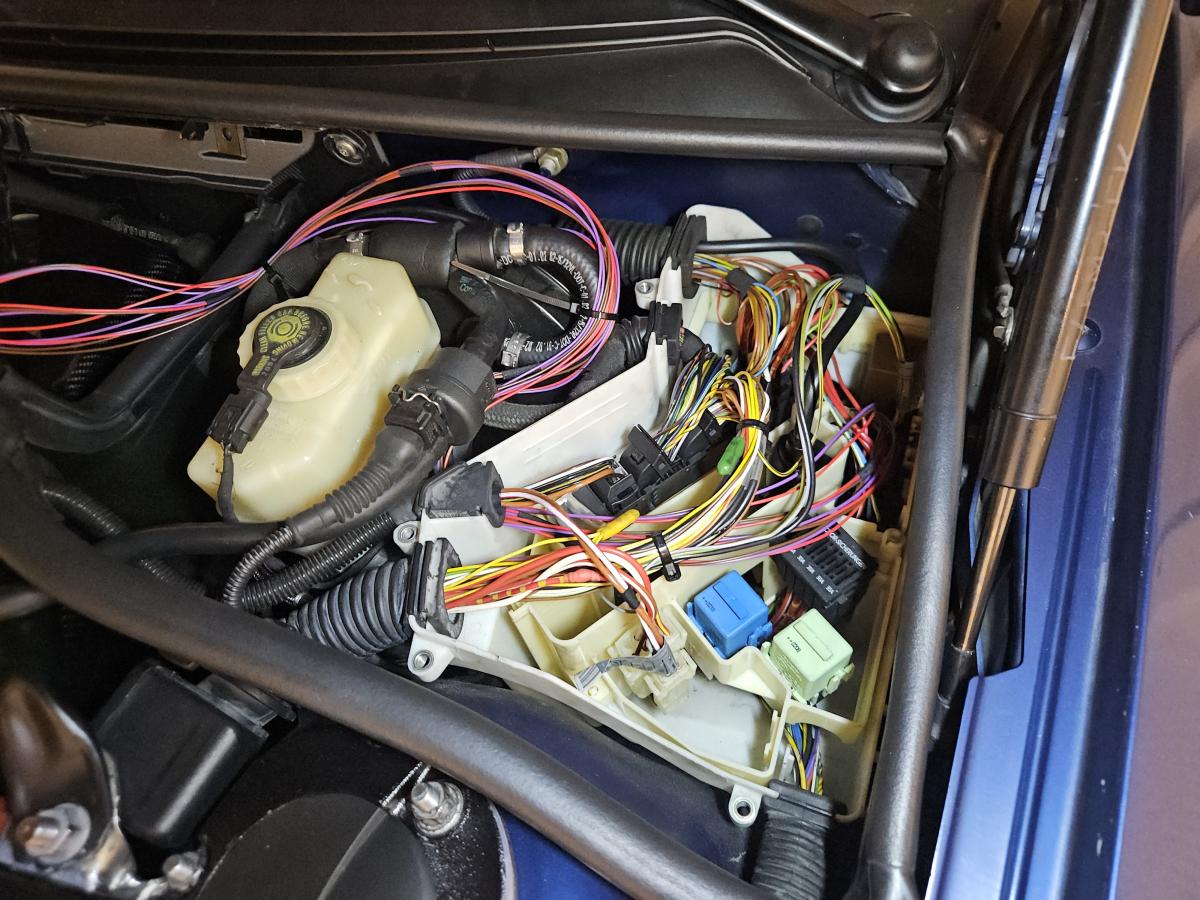 Click image for larger version

Name:	20251102_154801.jpg
Views:	120
Size:	176.6 KB
ID:	325753