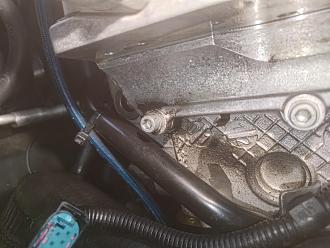 Click image for larger version

Name:	P_20260116_184624.jpg
Views:	98
Size:	124.2 KB
ID:	340584