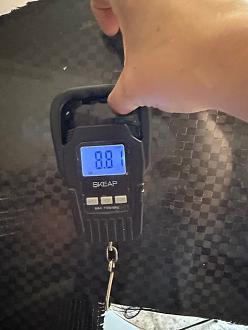 Click image for larger version  Name:	IMG_5591.jpg Views:	22 Size:	55.5 KB ID:	340669