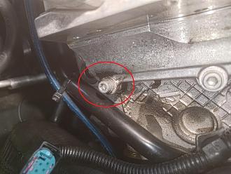 Click image for larger version  Name:	P_20260116_184624.jpg Views:	0 Size:	181.7 KB ID:	343184