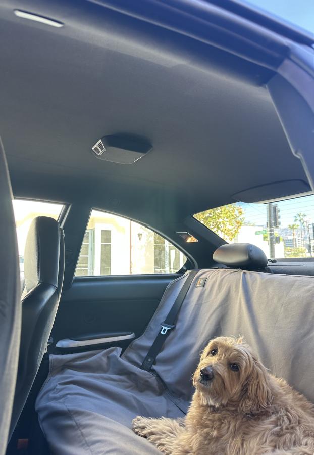 Click image for larger version

Name:	IMG_5491.jpg
Views:	83
Size:	59.9 KB
ID:	345305