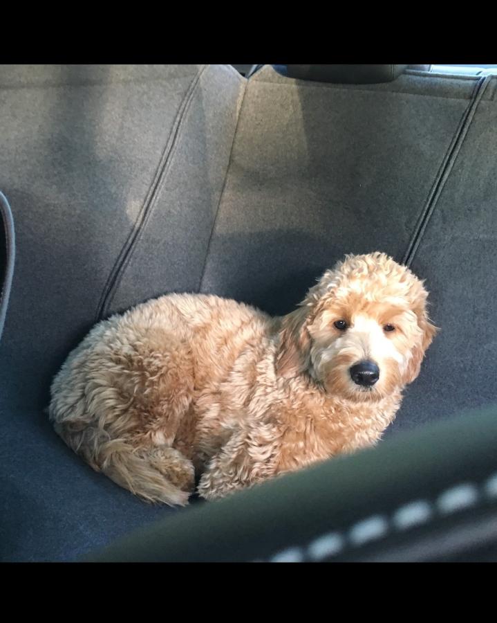 Click image for larger version

Name:	IMG_5549.jpg
Views:	66
Size:	70.5 KB
ID:	345525