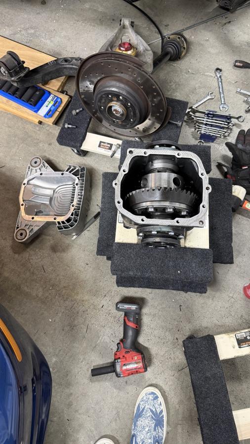 Click image for larger version  Name:	IMG_9731.jpg Views:	0 Size:	95.4 KB ID:	349624