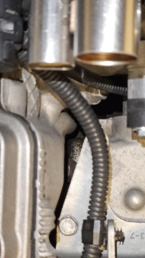 Click image for larger version

Name:	20260413_152905.jpg
Views:	53
Size:	50.5 KB
ID:	351629