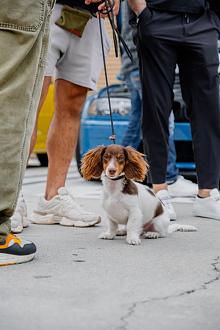 Click image for larger version  Name:	_DSF0050.jpg Views:	0 Size:	58.9 KB ID:	352301