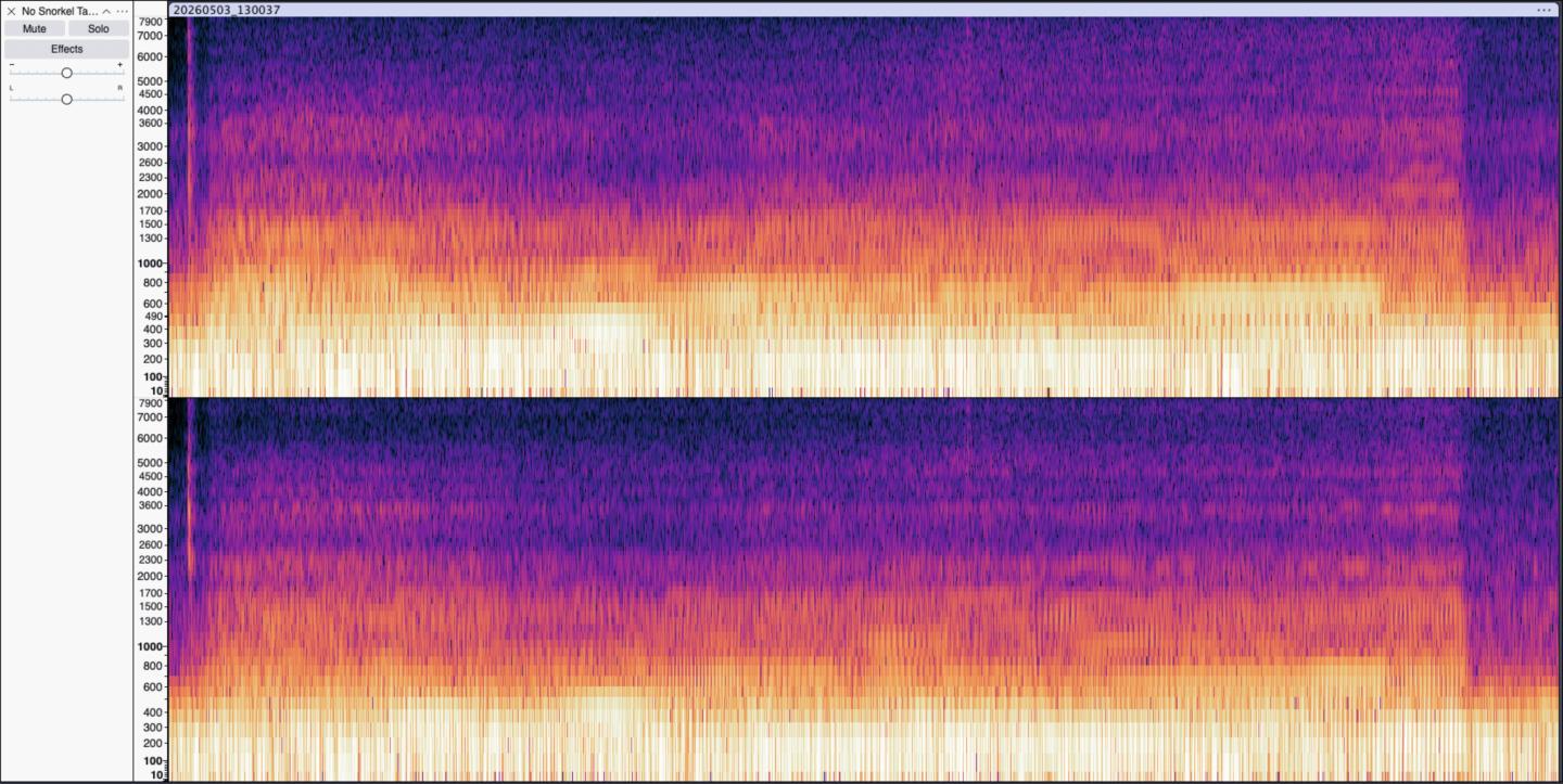 Click image for larger version

Name:	No Snorkel Spectogram.jpg
Views:	25
Size:	174.5 KB
ID:	355738