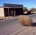 Click image for larger version

Name:	tumbleweed.jpg
Views:	0
Size:	40.5 KB
ID:	457569