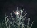 Click image for larger version

Name:	IMG_1928.jpg
Views:	0
Size:	141.9 KB
ID:	457688