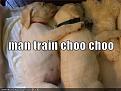Click image for larger version

Name:	Man train.jpg
Views:	0
Size:	41.2 KB
ID:	457825