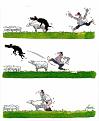 Click image for larger version

Name:	sheep-dog.jpg
Views:	2
Size:	51.9 KB
ID:	457846