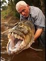 Click image for larger version

Name:	585154-big-fish.jpg
Views:	2
Size:	38.7 KB
ID:	457881