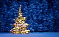 Click image for larger version

Name:	Beautiful-Christmas-Tree-Wallpapers-9_5.jpg
Views:	0
Size:	62.0 KB
ID:	458735