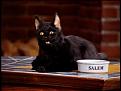 Click image for larger version

Name:	Salem.jpg
Views:	5
Size:	20.4 KB
ID:	529545