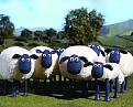 Click image for larger version

Name:	shaun-the-sheep-pic-1.jpg
Views:	3
Size:	36.1 KB
ID:	529601